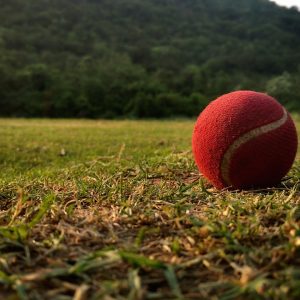 ball, cricket, tennis-3381339.jpg